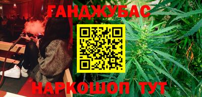 индика Боровичи