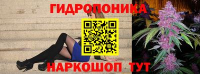 индика Боровичи